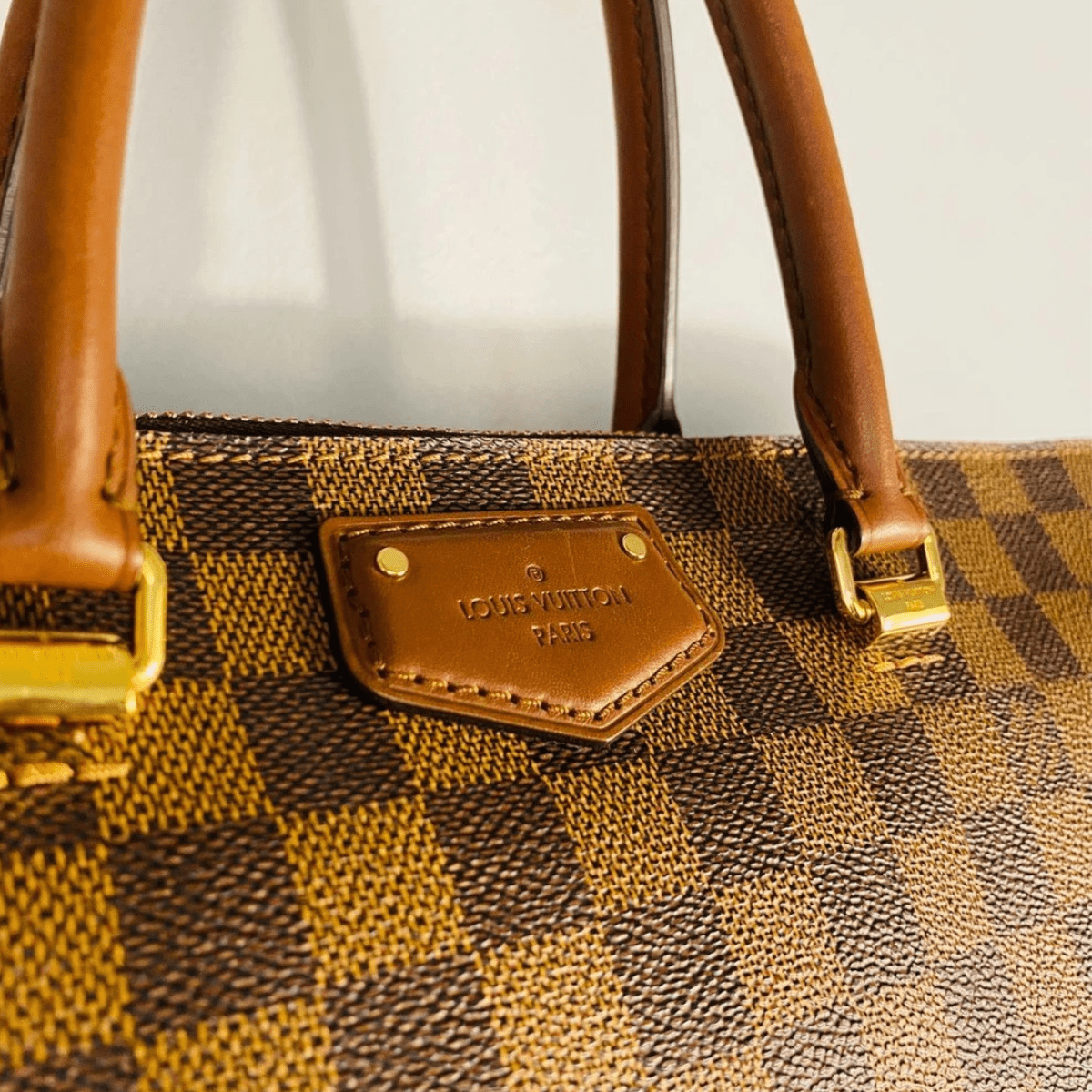 Louis Vuitton – Saleya PM Tasche