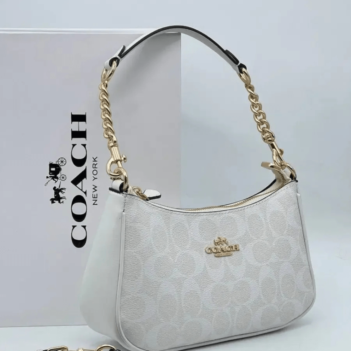Coach Teri Signature Canvas Tasche