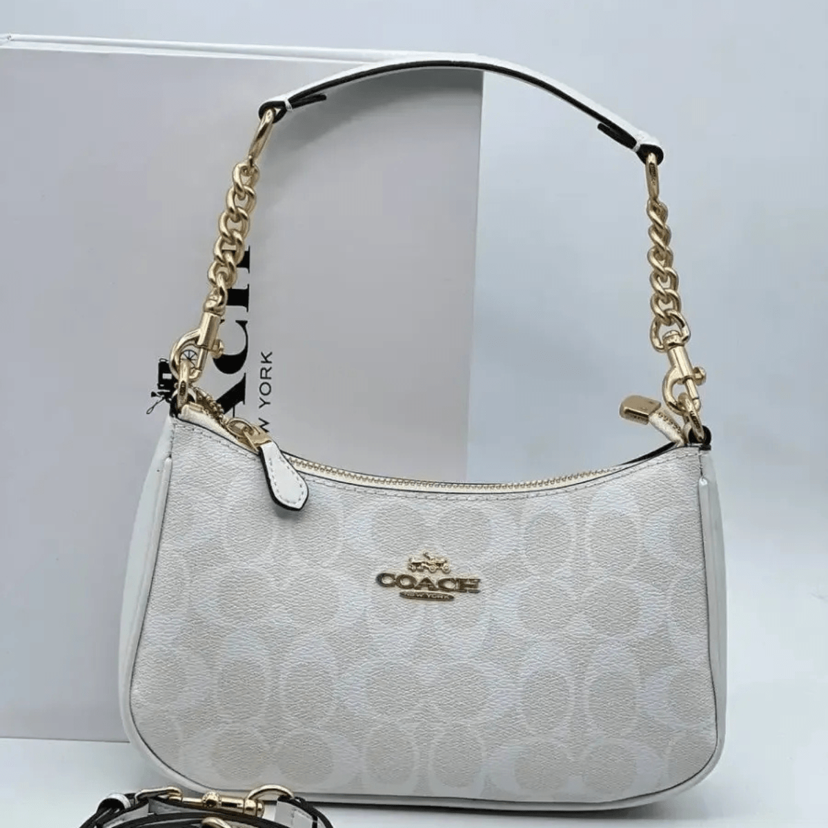 Coach – Set: Lockup Leather Slide Sandal & Teri Signature Canvas Tasche